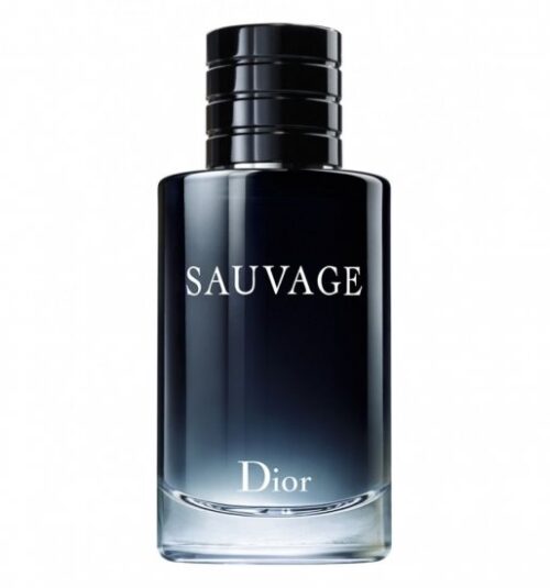 Dior Sauvage Edt 100ml בושם דיור לגבר דיור סוואג